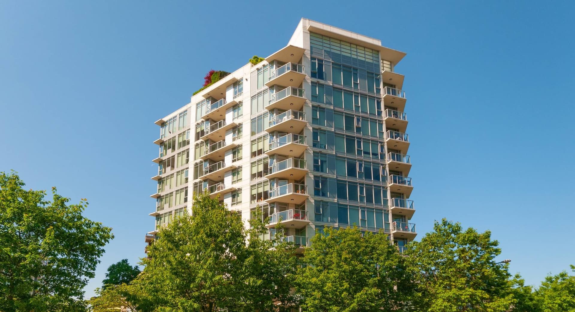 High-rise condo building surrounded by mature trees